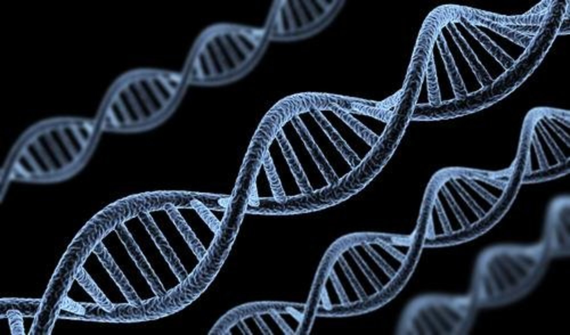 Геном белого человека. ДНК DNA. Геномная ДНК. Генетика це. Дезоксирибонуклеиновая кислота ДНК рисунок.