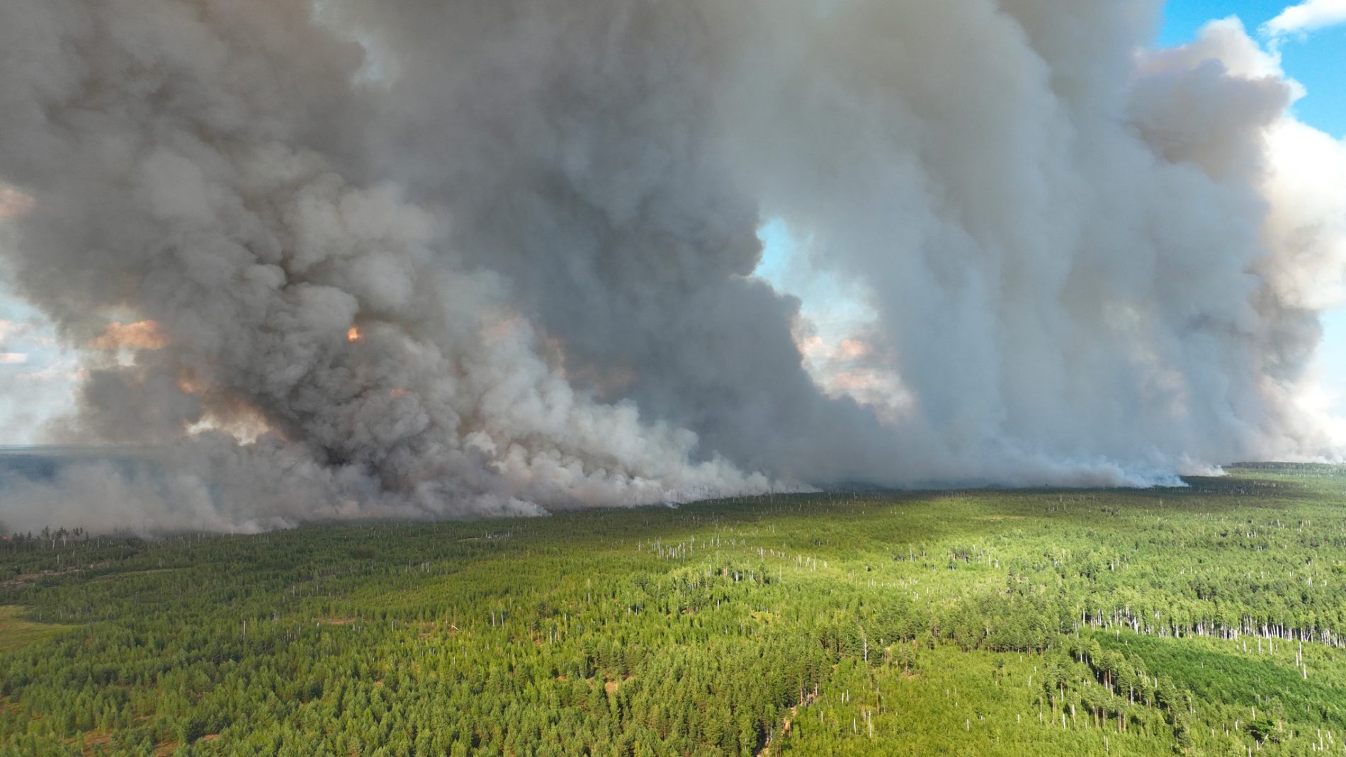 Дым в озерах. Лесные пожары в Рязанской области 2022. Лесные пожары в Рязанской области в 2022 году. Пожар в лесу. Дым пожар.